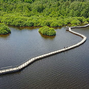 Circuit de VTT : Boucle n°1 lac des Settons - MONTSAUCHE-LES-SETTONS