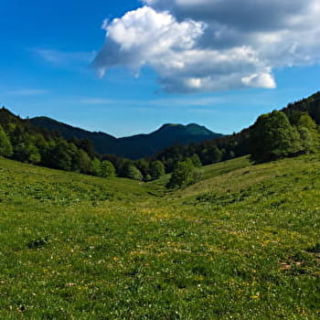 Randonnée des Crêtes de Sur Lyand - ARVIERE-EN-VALROMEY