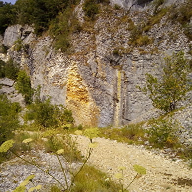 Sentier de la carrière de Cerin (ENS de l'Ain)