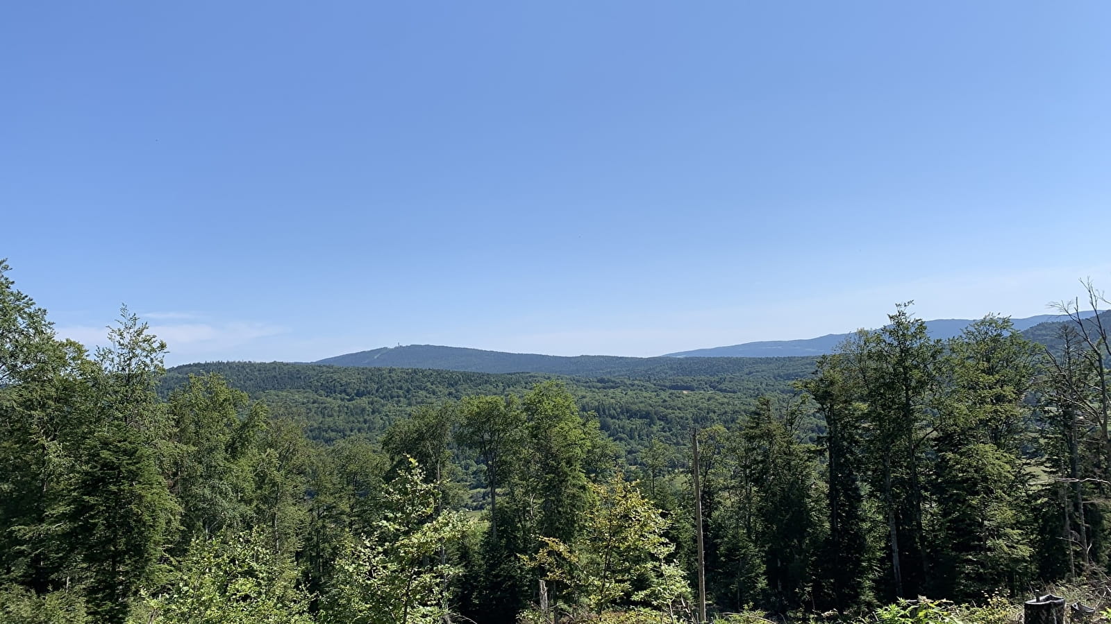 Randonnée - Forêt de la ravière et de Jailloux