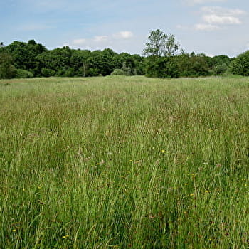 Les Prés de Ménetreuil - MENETREUIL
