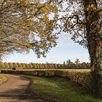 Sentier de la Folie - SAINT-SAUVEUR-EN-PUISAYE