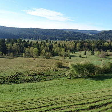 La Pierre qui tourne