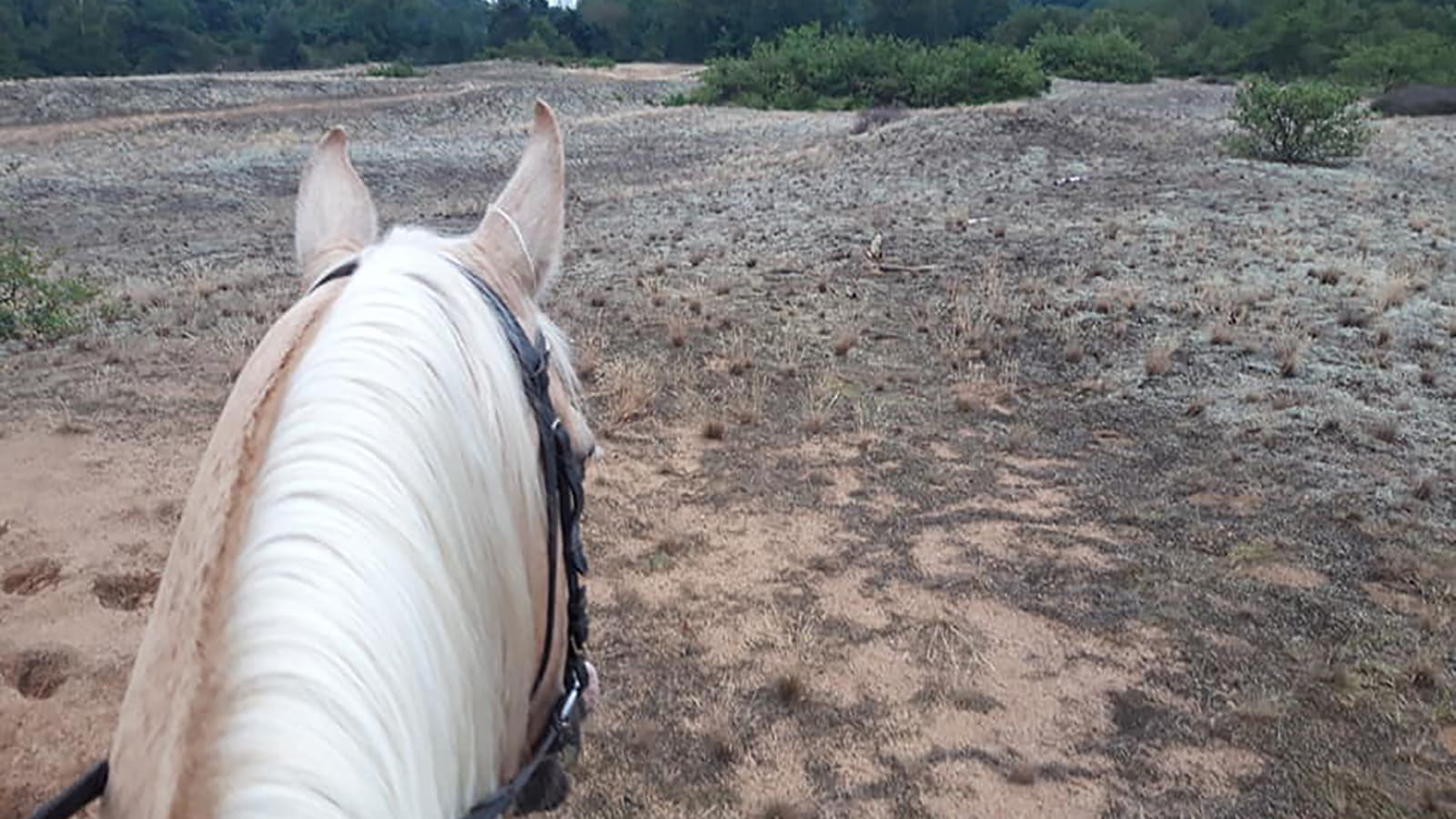 Circuit des prairies du Val de Saône