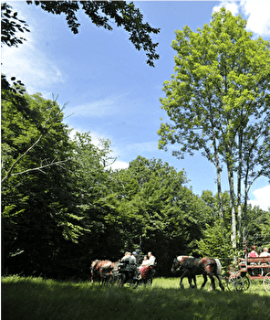 La Fontaine des Acacias - BESANCON Forêt de Chailluz