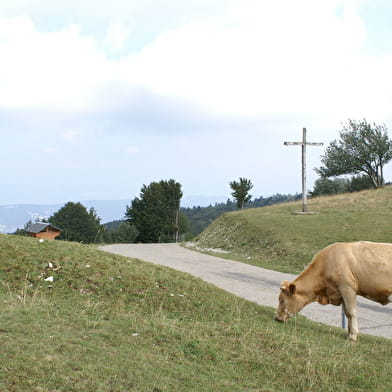 Randonnée pédestre : Boucle de la Croix Famban