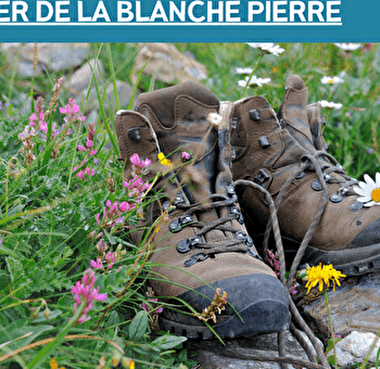 SENTIER DE LA BLANCHE PIERRE - CHAMPAGNEY