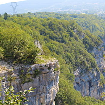 Les crêtes de Charabotte - Parcours marche nordique n°13 - PLATEAU D'HAUTEVILLE