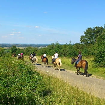 Boucle Nord - Panoramique Nord du Massif - SENNECEY-LE-GRAND
