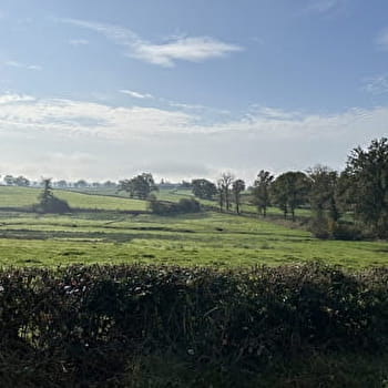 Balade Verte - A travers bois (PLM 6) - NOCHIZE