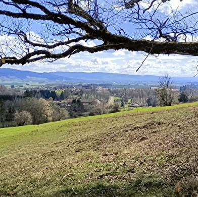 Belvédère du Peu (Parcours difficile)