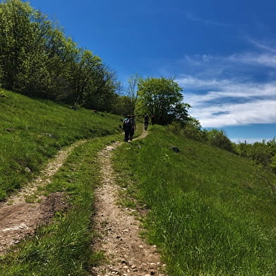 Sentier nature 'Sentier du Maquis de Retord'