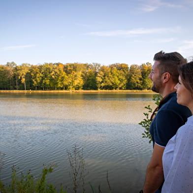 Le Sentier du Bois des Hauts