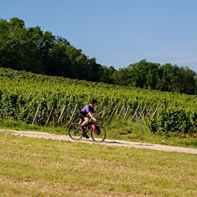 Tour du Jura Vélo Loisirs – Option Gravel : Port-Lesney – Poligny