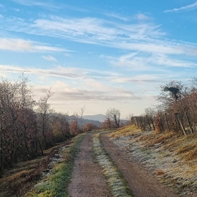 Randonnée - Coligny et le plateau de Vergongeat
