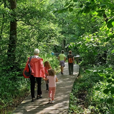 Randonnée pédestre : Marais des Bidonnes et Canal de Crans