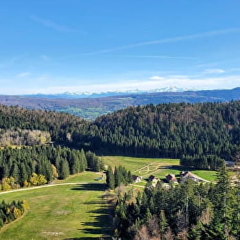 Randonnée - Les crêtes de la Praille - PLATEAU D'HAUTEVILLE