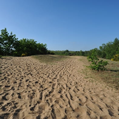 Boucle vélo loisirs de l'Ain à vélo : Dunes et bocage