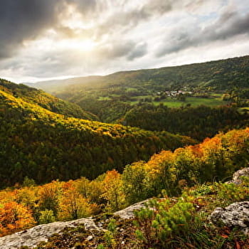 L'Arcadienne - 94N - HAUTS DE BIENNE