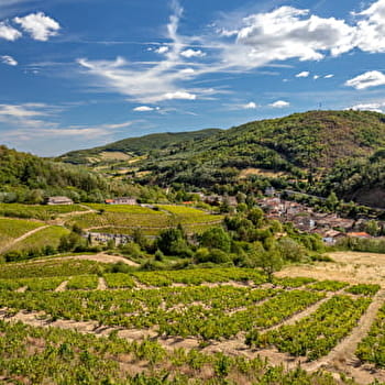 Circuit VTT B1 de Beaujeu à Lantignié - BEAUJEU