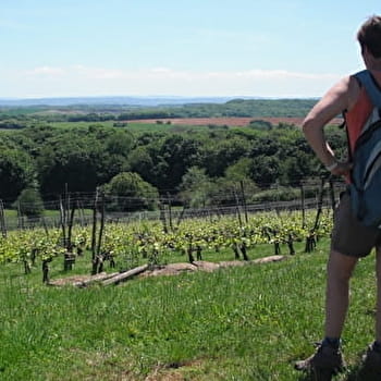 Les Trois Villages - LE MOUTHEROT