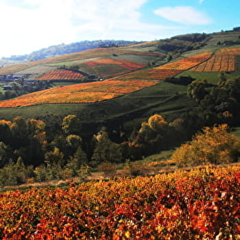 Circuit Le Sallerin / Le Sovarin - BLACE