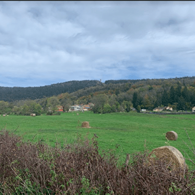 Randonnée - Des Lésines à Planachat