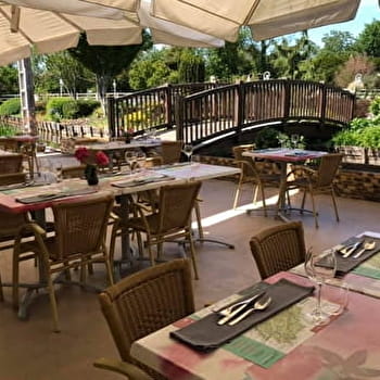 Les meilleures grenouilles -