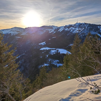 Sentier raquettes de la Faucille au Turet
