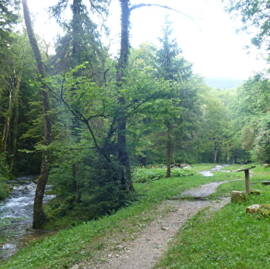 Promenade des Sources de l'Allondon