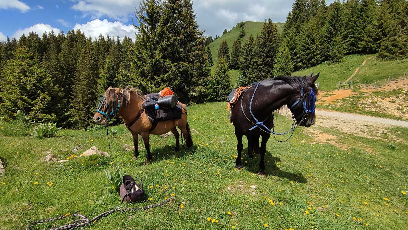 Circuit équestre des Montagnes du Haut-Jura