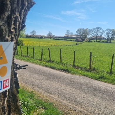 Circuit Gravel n°11 (bleu) - Prairie de Jayat - Chartreuse de Montmerle