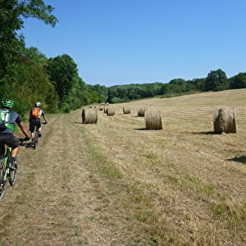 Base VTT des MONTS DE GY - GY